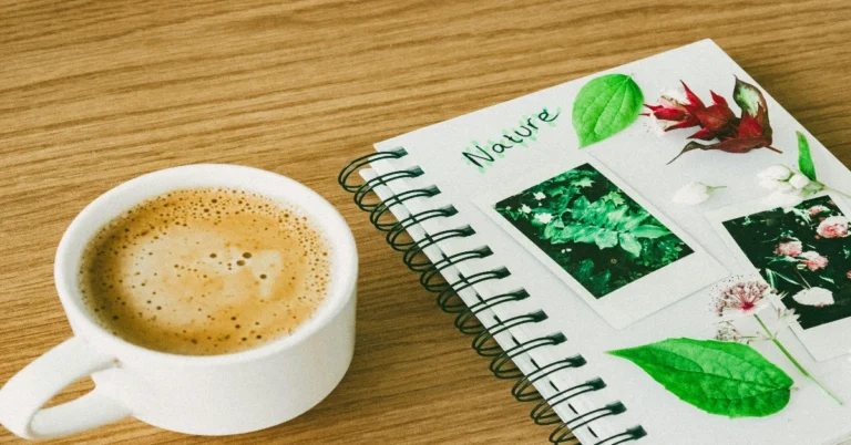 Best Daily Habits for a Long Life: Simple Practices That Truly Make a Difference