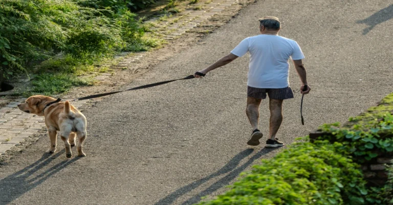 Why Walking Is Being Called the “Most Powerful Exercise” Today