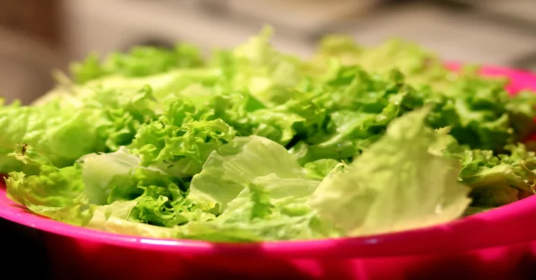 The Health Benefits of Lettuce: A Refreshing, Low‑Calorie Superfood