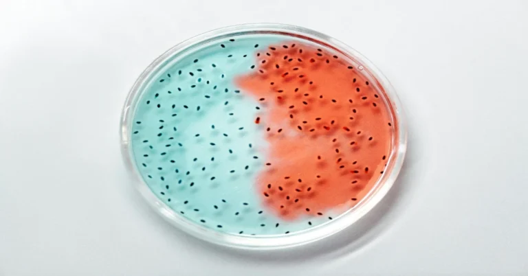 Types of Bacteria in the Human Body: Good, Bad, and Everywhere In Between