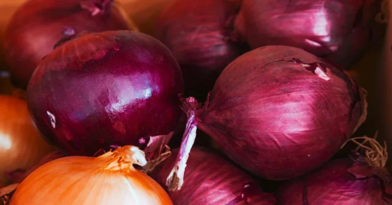 The Incredible Health Benefits of Onions: Nature’s Superfood for Wellness