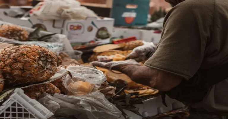 The Effects of Spoiled Food on the Human Body